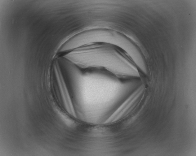 X0000081400842200702090101