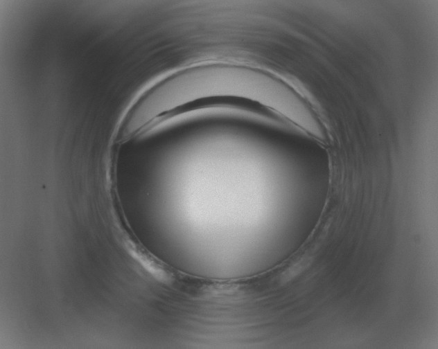 X0000081400846200702090101