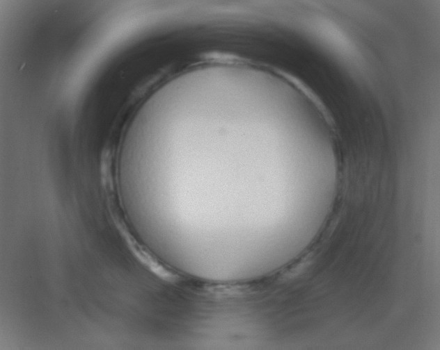 X0000081400862200702090102