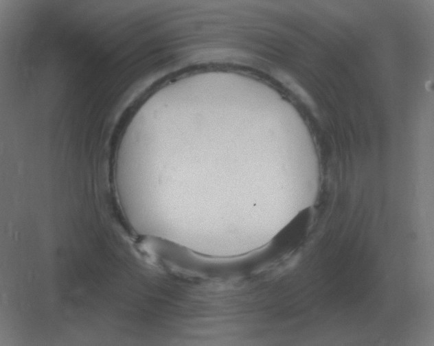 X0000081400877200702090101