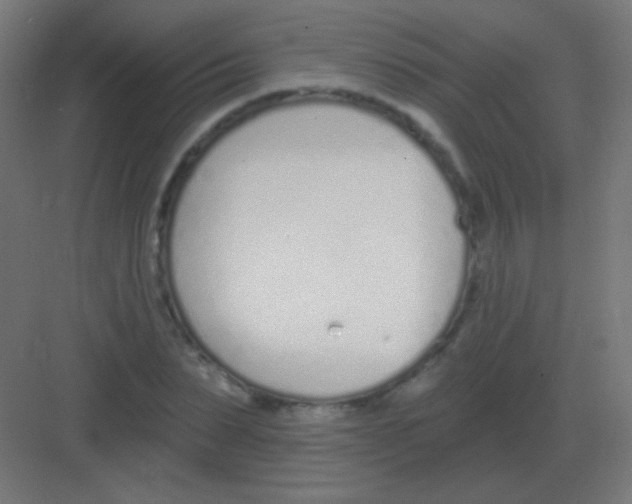 X0000081400879200702090101