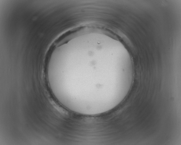 X0000081400880200702090101