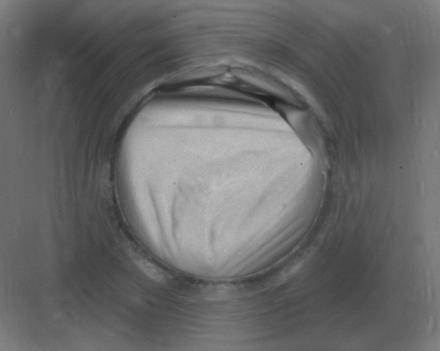 X0000081400881200702090101