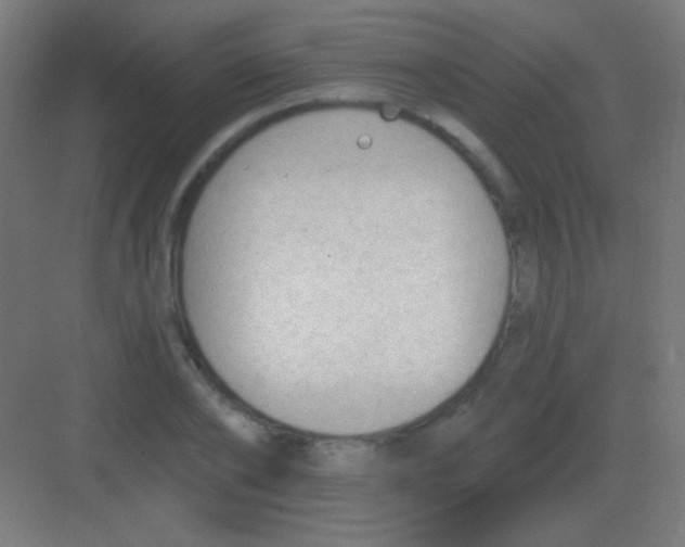 X0000081400886200702090101