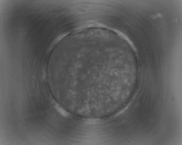 X0000081400889200702090101