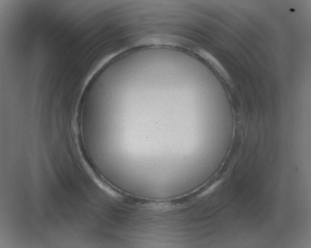 X0000081400893200702090101