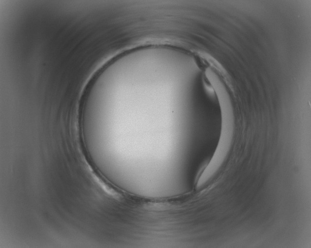 X0000081400894200702090100