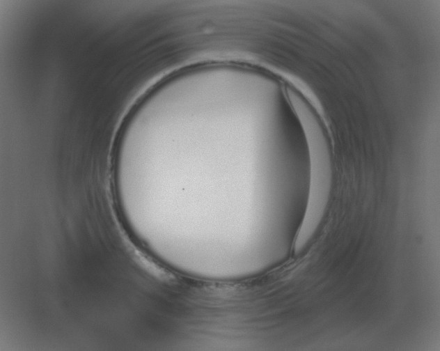 X0000081400895200702090100