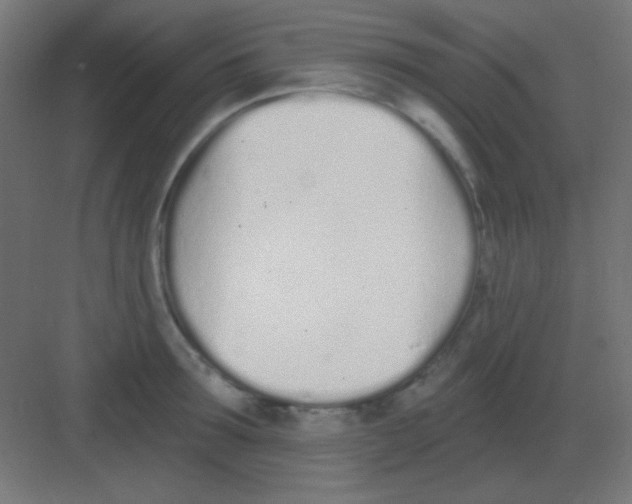 X0000081400899200702090100