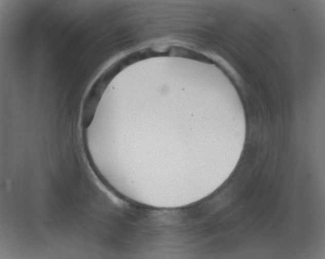 X0000081400902200702090100