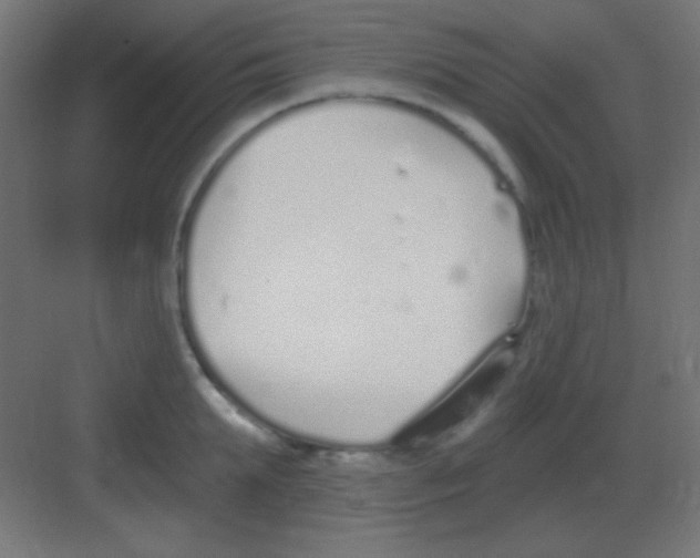 X0000081400903200702090100