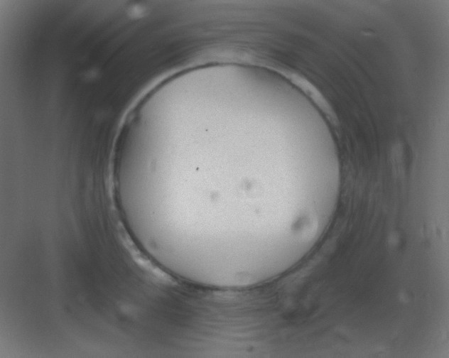 X0000081400904200702090100