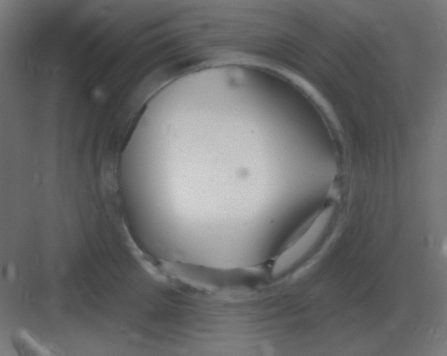 X0000081400905200702090100