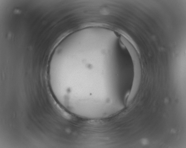 X0000081400906200702090100