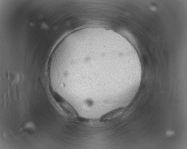 X0000081400907200702090100