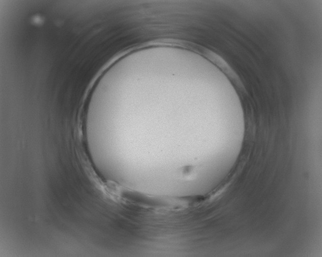 X0000081400908200702090100