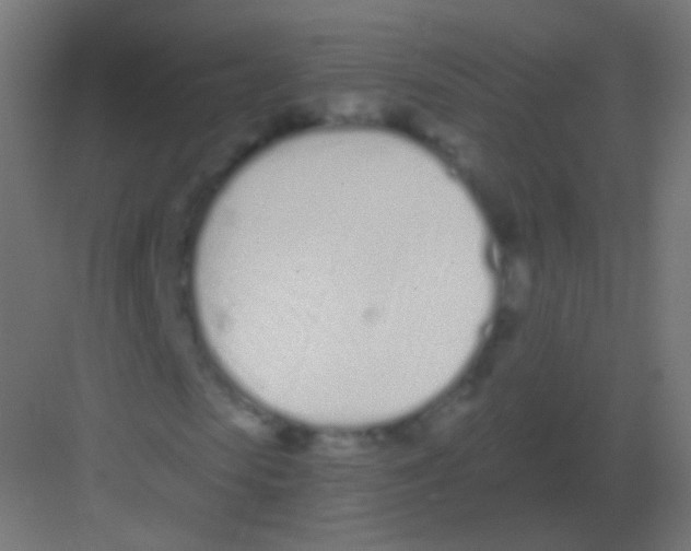 X0000081400913200702090059