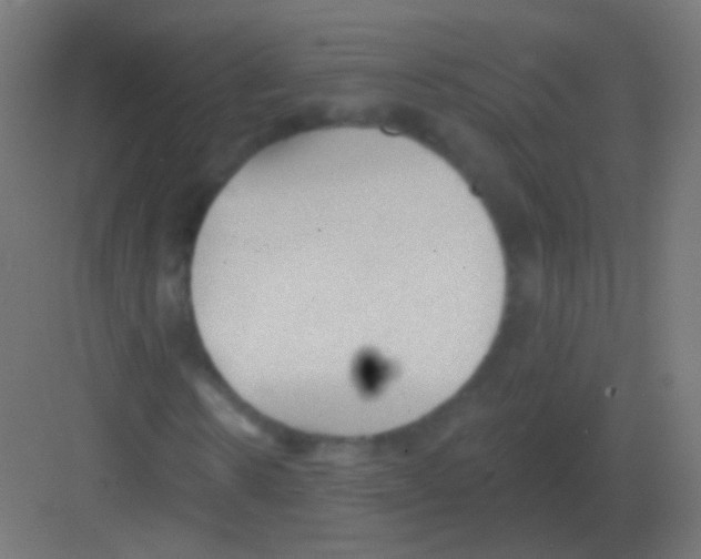 X0000081400914200702090059