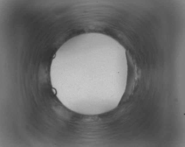 X0000081400915200702090059