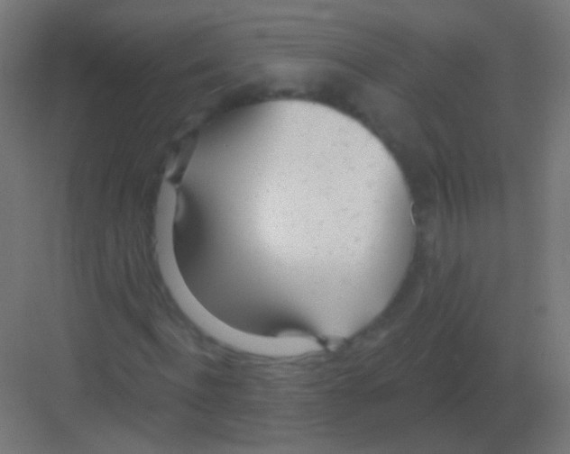 X0000081400916200702090059