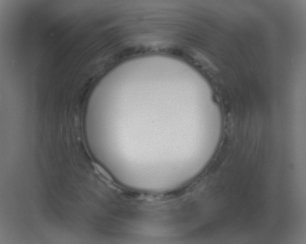 X0000081400917200702090059