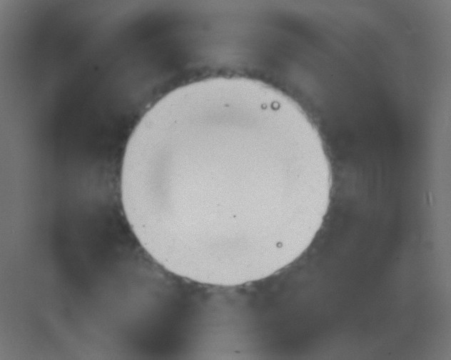 X0000081400918200702090059