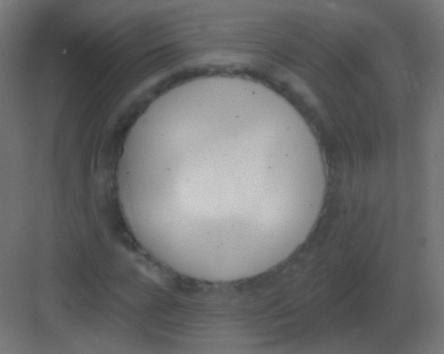 X0000081400920200702090100