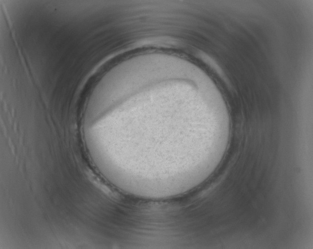 X0000081400923200702090100