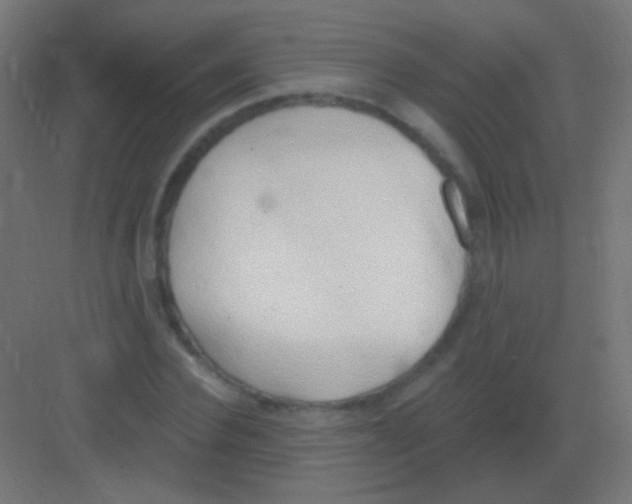 X0000081400924200702090100