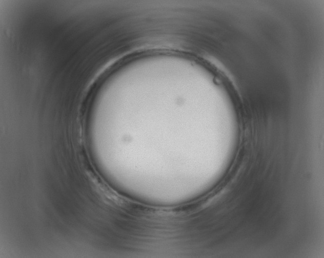 X0000081400925200702090100