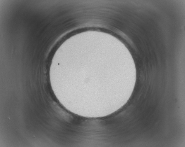 X0000081400926200702090100