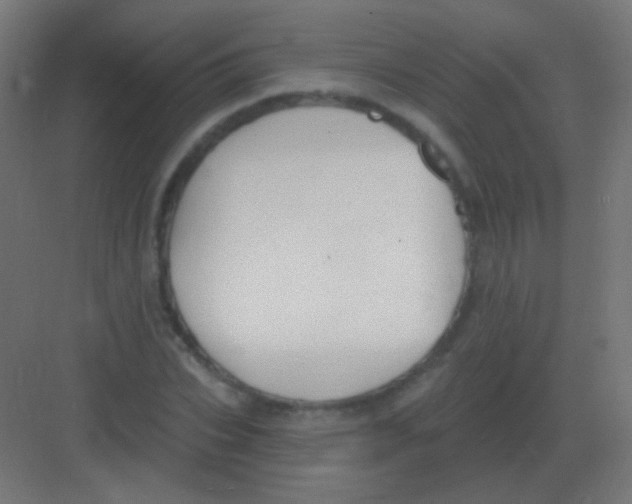 X0000081400927200702090100