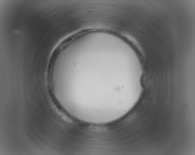 X0000081400928200702090100