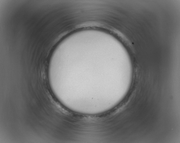 X0000081400929200702090100