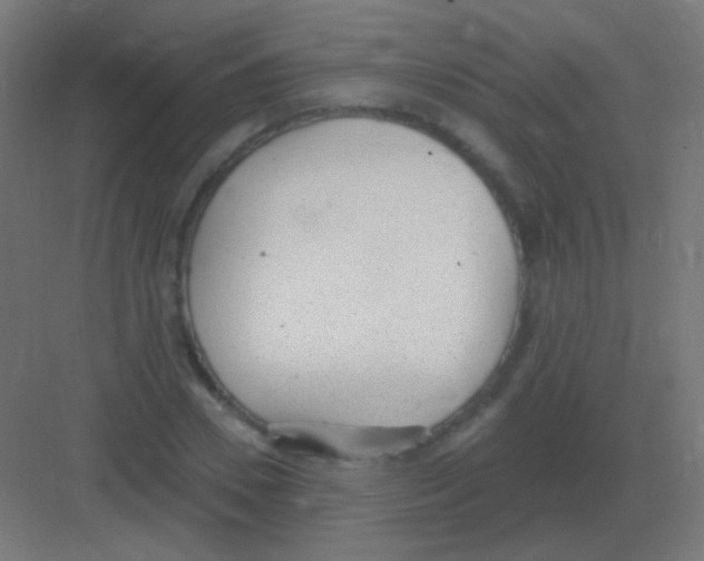 X0000081400930200702090100