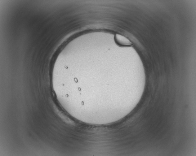 X0000081400934200702090100