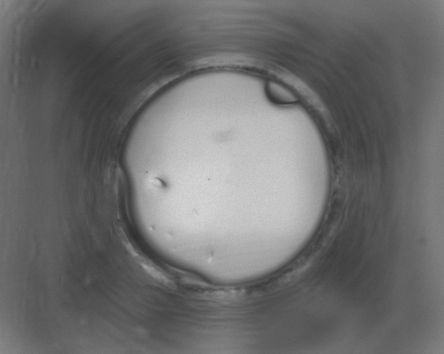 X0000081400937200702090100