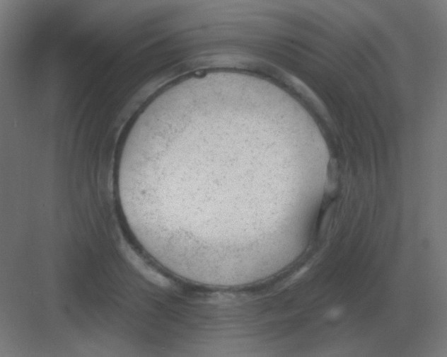 X0000081400938200702090100