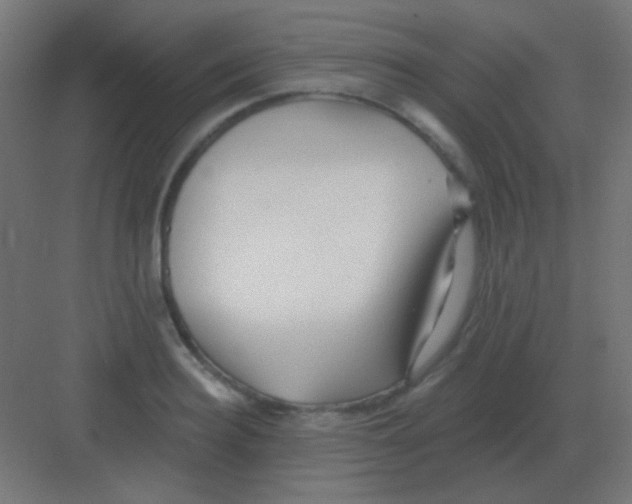 X0000081400940200702090100