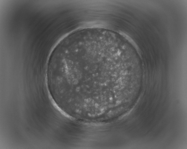 X0000081400941200702090100