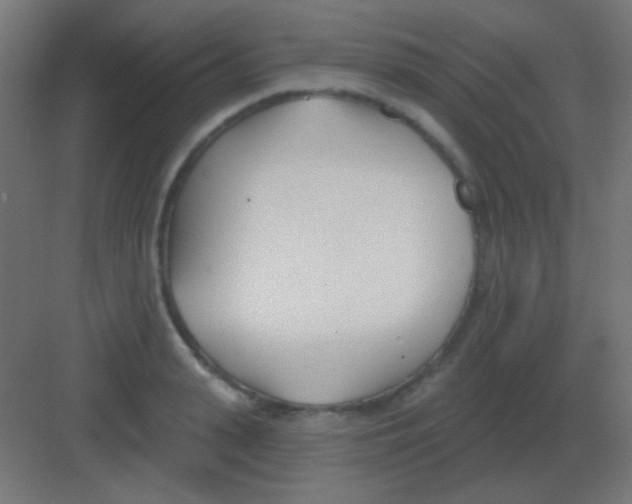 X0000081400943200702090100