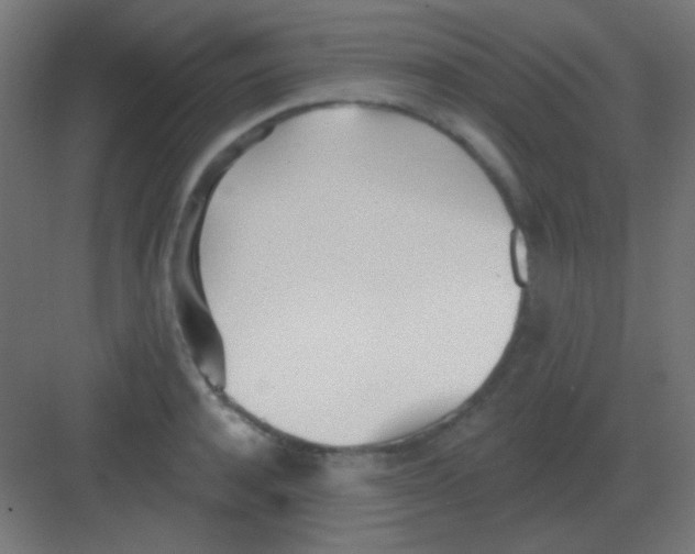 X0000081400944200702090100