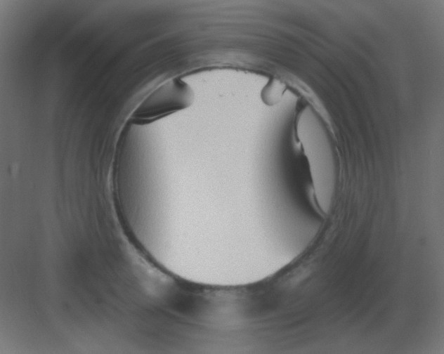 X0000081400946200702090100