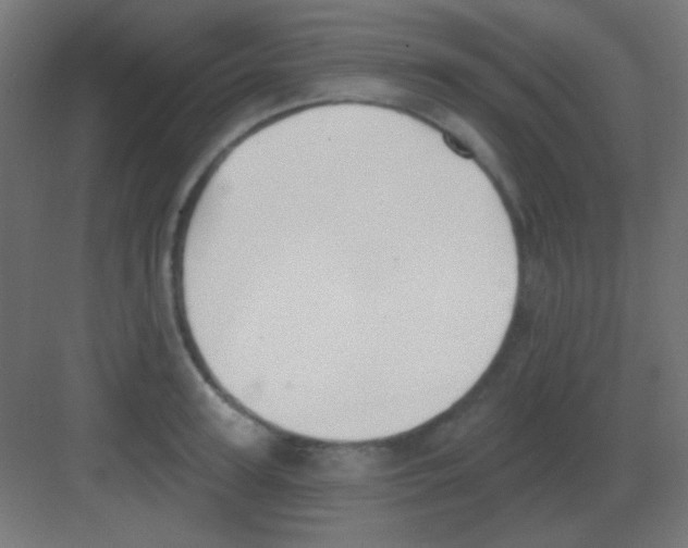 X0000081400947200702090100