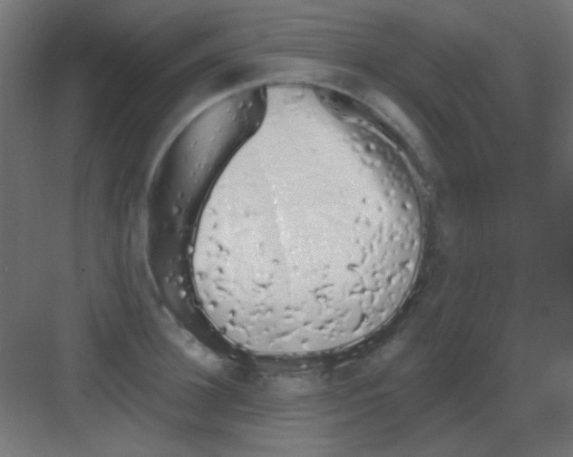 X0000081400948200702090100