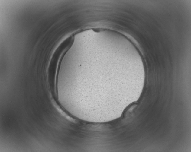 X0000081400949200702090100