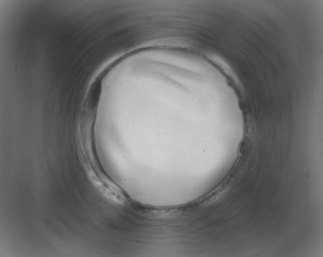 X0000081400952200702090100