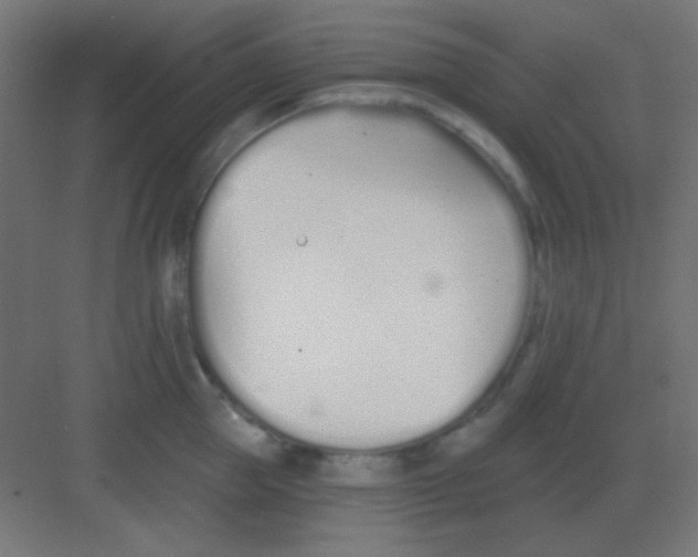 X0000081400953200702090100