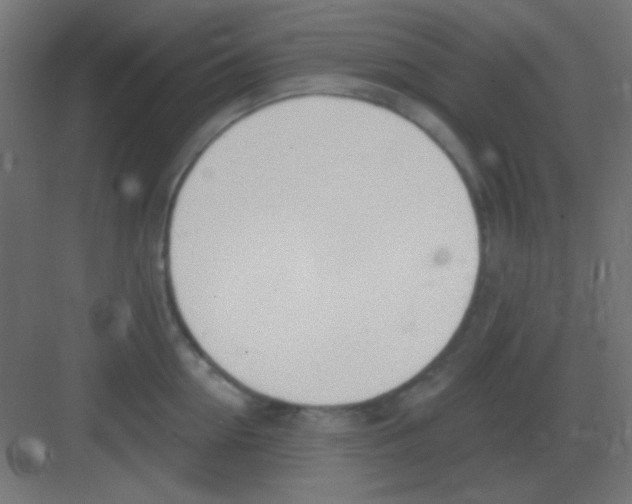 X0000081400954200702090100