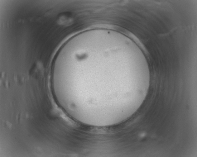 X0000081400955200702090100